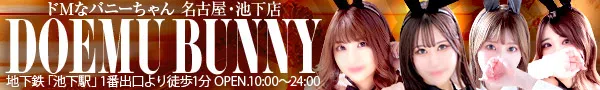 https://fuzoku.jp/bunnynagoya/